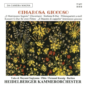 Cimarosa - Sinfonia/Concerto For 2 Flutes/Maes ryhmässä CD / Klassiskt @ Bengans Skivbutik AB (5574881)