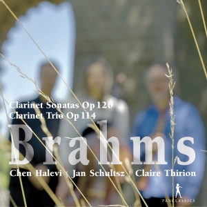 Brahms - Clarinet Sonatas Op. 120, Clarinet ryhmässä CD @ Bengans Skivbutik AB (5575021)