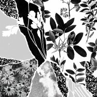Ponctuation - Mon Herbier Du Monde Entier ryhmässä CD / Pop-Rock @ Bengans Skivbutik AB (5576287)