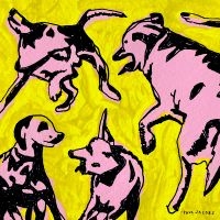 Jacobs Paul - Pink Dogs On The Green Grass ryhmässä CD @ Bengans Skivbutik AB (5576328)