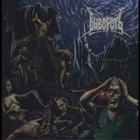 Vivorod - Vivorod ryhmässä ME SUOSITTELEMME / Perjantain julkaisut / 2025-01-17 @ Bengans Skivbutik AB (5576543)