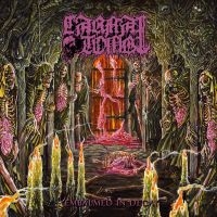 Carnal Tomb - Embalmed In Decay ryhmässä CD / Hårdrock @ Bengans Skivbutik AB (5576721)