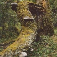 Jelinek Jan - Kosmischer Pitch (Reissue) ryhmässä ME SUOSITTELEMME / Perjantain julkaisut / 2025-01-17 @ Bengans Skivbutik AB (5576768)