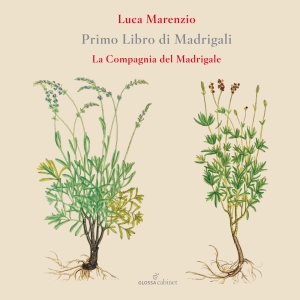 Luca Marenzio - First Book Of Madrigals (1580) ryhmässä CD / Klassiskt @ Bengans Skivbutik AB (5577002)