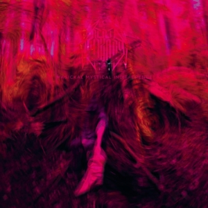 Rebel Wizard - Magickal Mystical Indifference ryhmässä Övrigt /  @ Bengans Skivbutik AB (5577168)