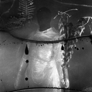 Vile Creature - Preservation Rituals (2015 - 2018) ryhmässä CD @ Bengans Skivbutik AB (5577169)