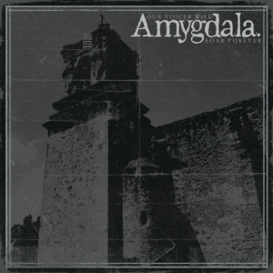 Amygdala - Our Voices Will Soar Forever ryhmässä CD @ Bengans Skivbutik AB (5577181)