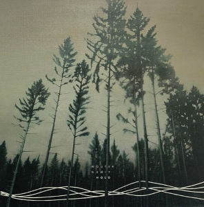 Wouter Dewit - Hold ryhmässä VINYYLI @ Bengans Skivbutik AB (5578241)