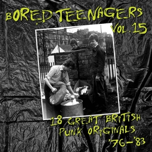 Various Artist - Bored Teenagers, Vol. 15 ryhmässä VINYYLI / Punk @ Bengans Skivbutik AB (5578325)
