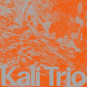 Kali Trio - The Playful Abstract ryhmässä Övrigt /  @ Bengans Skivbutik AB (5578378)