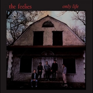 Feelies The - Only Life ryhmässä VINYYLI / Pop-Rock @ Bengans Skivbutik AB (5579030)