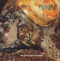 Pissgrave - Malignant Worthlessness ryhmässä ME SUOSITTELEMME / Perjantain julkaisut / 2025-02-21 @ Bengans Skivbutik AB (5579746)