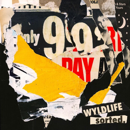Wyldlife - Sorted. ryhmässä VINYYLI / Pop-Rock @ Bengans Skivbutik AB (5579981)