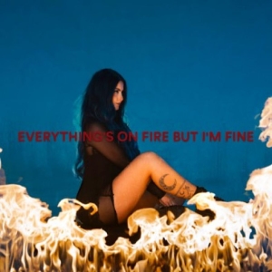 As December Falls - Everything's On Fire But I'm Fine ryhmässä VINYYLI @ Bengans Skivbutik AB (5580573)