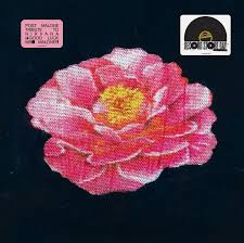 Post Malone - Post Malone Tribute To Nirvana(Rsd2025) ryhmässä Korr_grupp /  @ Bengans Skivbutik AB (5582338)