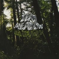 Dead Meadow - Old Growth (2 Lp Neon Green Vinyl) ryhmässä VINYYLI @ Bengans Skivbutik AB (5584033)