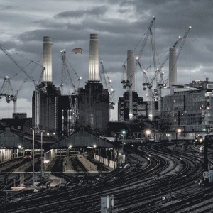 Pink Floyd - Animals (2018 Remix) ryhmässä ME SUOSITTELEMME / Perjantain julkaisut / 2025-03-28 @ Bengans Skivbutik AB (5584221)