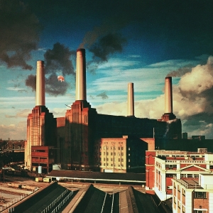 Pink Floyd - Animals ryhmässä VINYYLI @ Bengans Skivbutik AB (5584224)