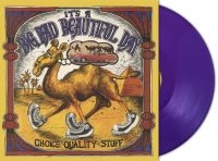 Its A Beautiful Day - Choice Quality Stuff (Purple Vinyl ryhmässä ME SUOSITTELEMME / Perjantain julkaisut / 2025-03-14 @ Bengans Skivbutik AB (5584479)
