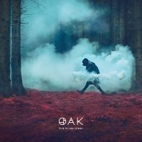 Oak - The Third Sleep ryhmässä ME SUOSITTELEMME / Perjantain julkaisut / 2025-04-25 @ Bengans Skivbutik AB (5584552)