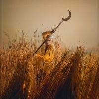 Wolf Patrick - Crying The Neck ryhmässä VINYYLI / Pop-Rock @ Bengans Skivbutik AB (5584566)