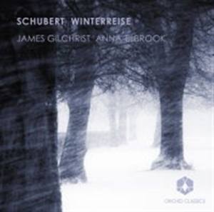 Schubert - Winterreise ryhmässä CD @ Bengans Skivbutik AB (558617)