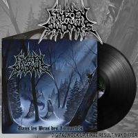 Frozen Shadows - Dans Les Bras Des Immortels (Black ryhmässä VINYYLI @ Bengans Skivbutik AB (5587429)