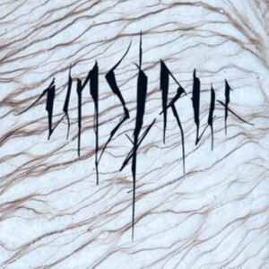 Unstrut - Unstrut ryhmässä CD @ Bengans Skivbutik AB (5587440)