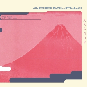 Susumu Yokota - Acid Mt. Fuji ryhmässä VINYYLI @ Bengans Skivbutik AB (5587624)
