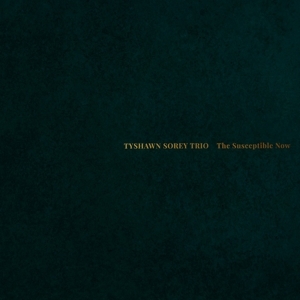 Tyshawn Sorey - Susceptible Now ryhmässä CD @ Bengans Skivbutik AB (5587726)