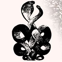 Bardo Pond - Volume 4 & 5 ryhmässä VINYYLI @ Bengans Skivbutik AB (5587765)
