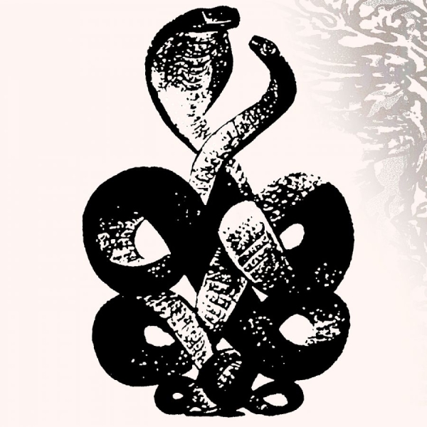 Bardo Pond - Volume 4 & 5 ryhmässä VINYYLI / Myydyimmät @ Bengans Skivbutik AB (5587765)