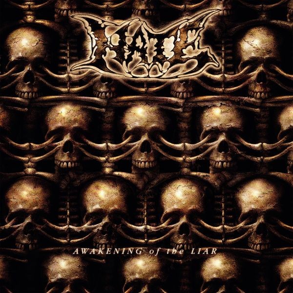 Hate - Awakening Of The Liar ryhmässä VINYYLI / Hårdrock @ Bengans Skivbutik AB (5587777)