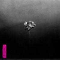 Little Simz - Lotus ryhmässä CD @ Bengans Skivbutik AB (5587834)