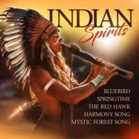 Various Artists - Indian Spirits ryhmässä CD @ Bengans Skivbutik AB (5588004)