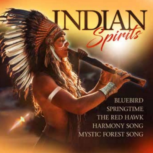 Various Artists - Indian Spirits ryhmässä CD / Myydyimmät @ Bengans Skivbutik AB (5588004)