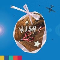 Wishy - Paradise On Planet Popstar ryhmässä ME SUOSITTELEMME / Perjantain julkaisut / 2025-04-25 @ Bengans Skivbutik AB (5588146)