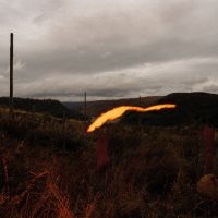 Quade - The Foel Tower ryhmässä ME SUOSITTELEMME / Perjantain julkaisut / 2025-04-18 @ Bengans Skivbutik AB (5588271)