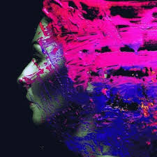 Wilson Steven - Split Seams/Vikt Hörn Hand.Cannot.Erase ryhmässä VINYYLI @ Bengans Skivbutik AB (5588388)