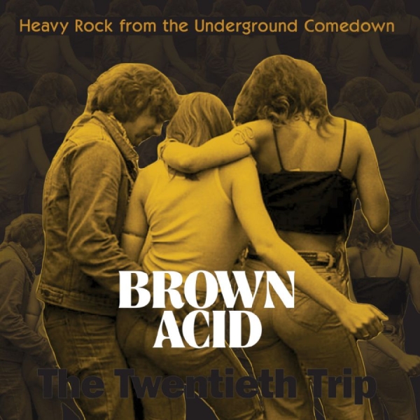Various Artists - Brown Acid - The Twentieth Trip ryhmässä VINYYLI / Myydyimmät @ Bengans Skivbutik AB (5589497)