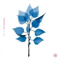 Matt Berninger - Get Sunk (Vinyl) ryhmässä VINYYLI / Pop-Rock @ Bengans Skivbutik AB (5589561)