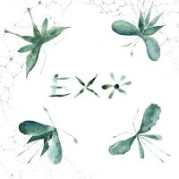 Exo - Exo ryhmässä VINYYLI @ Bengans Skivbutik AB (5589714)