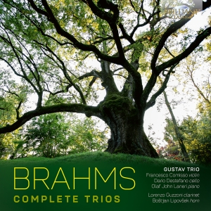 Johannes Brahms - Complete Trios ryhmässä CD / Kommande / Klassiskt @ Bengans Skivbutik AB (5589862)