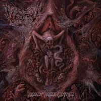 Vulvectomy - Aberrant Vaginal Gestation ryhmässä ME SUOSITTELEMME / Perjantain julkaisut / 2025-04-11 @ Bengans Skivbutik AB (5590092)