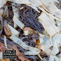Lullahush - Ithaca ryhmässä ME SUOSITTELEMME / Perjantain julkaisut / 2025-04-25 @ Bengans Skivbutik AB (5590190)