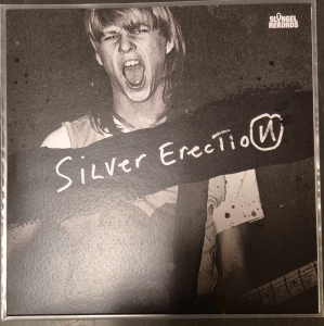Silver Erection - Politics ryhmässä ME SUOSITTELEMME / Startsida - Vinyl Nyheter & Kommande @ Bengans Skivbutik AB (5590609)