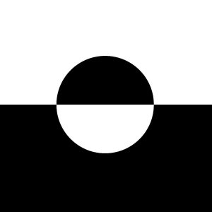 Molly Nilsson - Zenith ryhmässä VINYYLI @ Bengans Skivbutik AB (5590991)