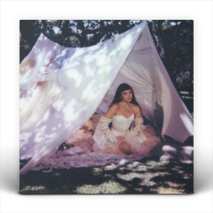 Julia Mestre - Maravilhosamente Bem ryhmässä VINYYLI @ Bengans Skivbutik AB (5591101)