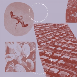 Rindert Lammers - Thank You Kirin Kiki ryhmässä VINYYLI @ Bengans Skivbutik AB (5591260)