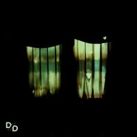 Divide And Dissolve - Insatiable ryhmässä ME SUOSITTELEMME / Perjantain julkaisut / 2025-04-18 @ Bengans Skivbutik AB (5591380)